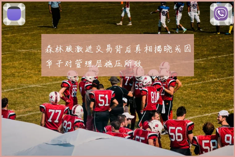 森林狼激进交易背后真相揭晓或因华子对管理层施压所致