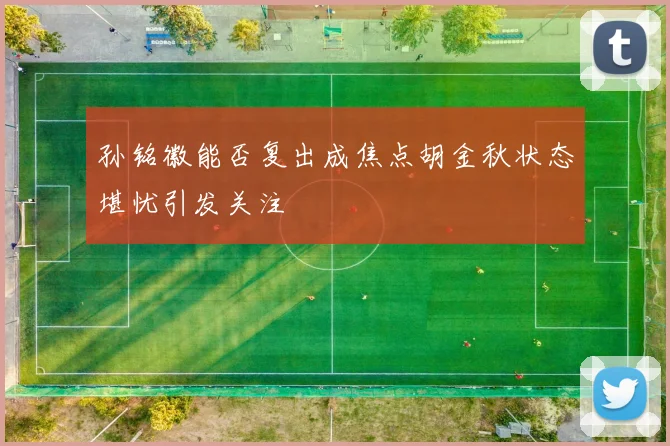 孙铭徽能否复出成焦点胡金秋状态堪忧引发关注
